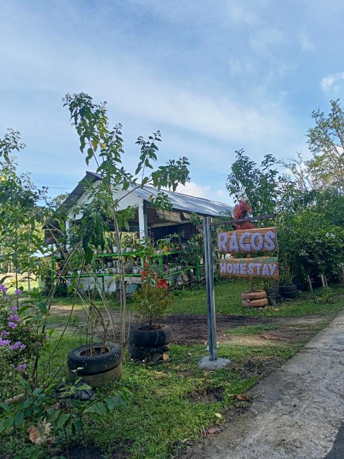 Homestay Rago's *