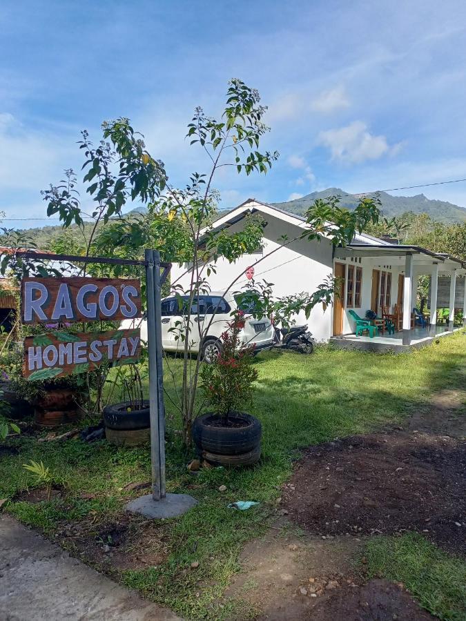 Rago's Homestay Kelimutu